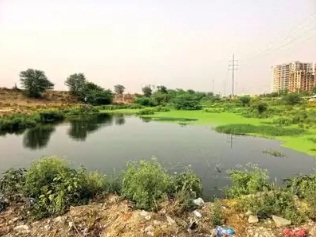 Noida to clear ponds, wetlands of construction waste, fence them